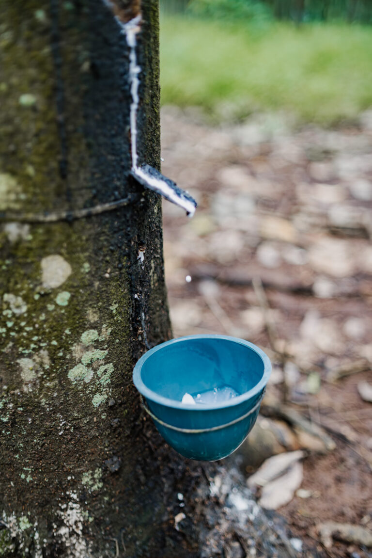 Rubber Commodity - PT Perkebunan Nusantara
