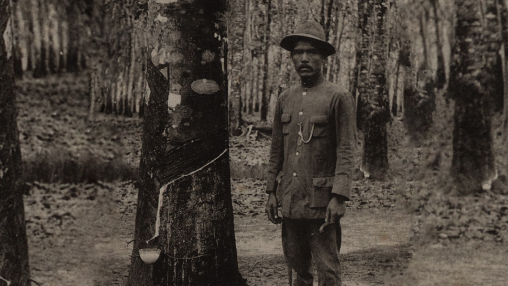 Kebun Karet 1961